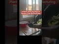 Let’s start the honey 🍯 coated plantain chips manufacturing process together #snacks #foodie #sweet