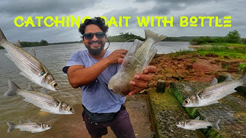 Easy DIY Bottle Trap for Catching Bait Fish! | Catch Mullet Fast with Simple Traps