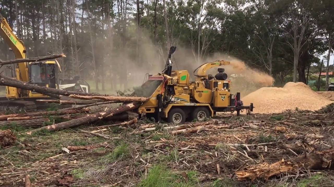 Whole tree Chipping with our vermeer BC2100xl ARBORMAN
