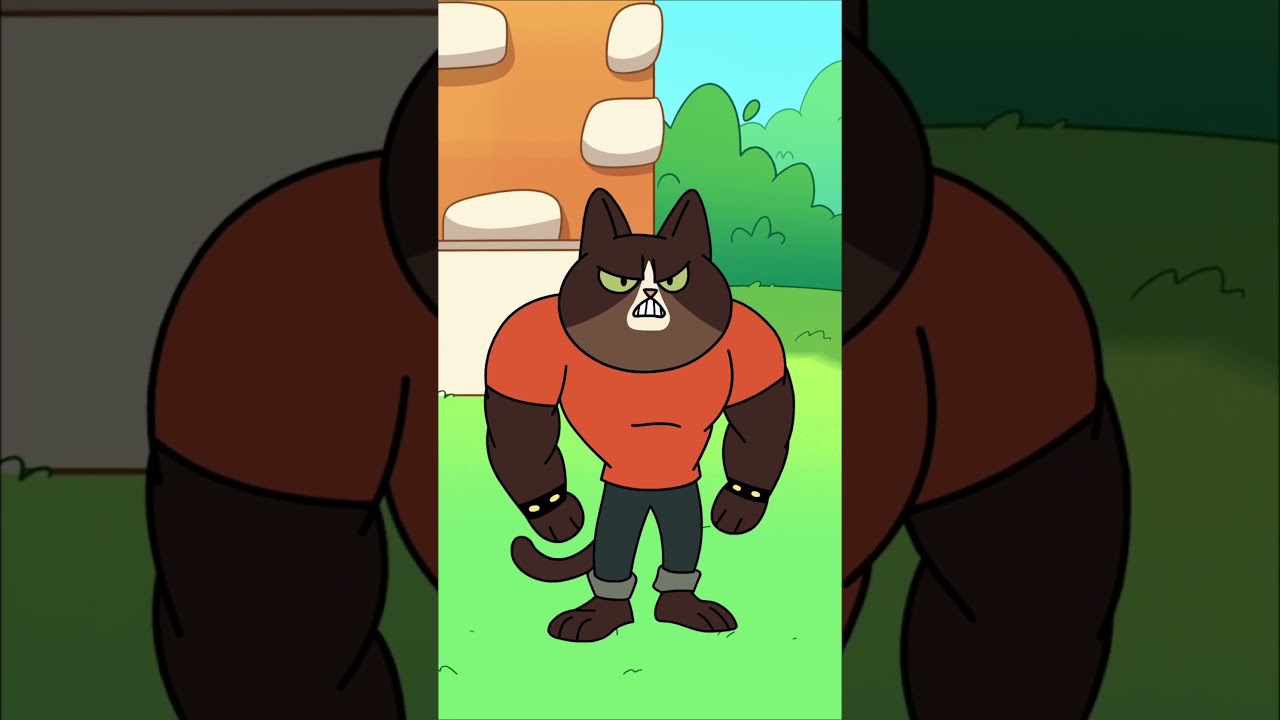 KITTENS have SWITCHED BODIES?! 😱 