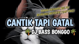 🌴DJ BAS BONGGO🌴 - ( CANTIK TAPI GATAL X KAKA KENAPA BE PU BURUNG BERDIRI TIAP PAGI) - EANG SELAN