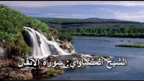 008- سورة الأنفال - الشيخ محمد صديق المنشاوي ( النسخة الحديثة المطورة - القرآن كاملا )
