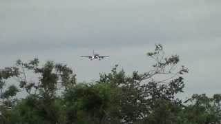 US Airways Airbus A319's at DCA