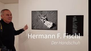 Fischl Reaktion 1080Fhd 1