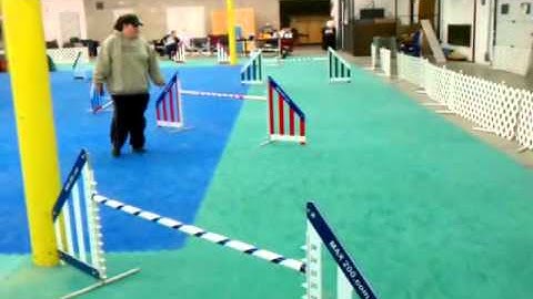 Dog Agility Mats - Demo of Use - Greatmats