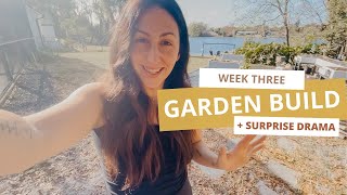 GARDEN DRAMA - Week Three of Building My Suburban Backyard Garden