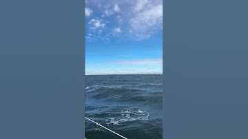 Sailing #hunter33.5 #hellyhansen #sailing #sailingerehwon #lifeisgood