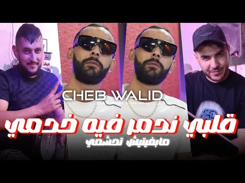 Cheb Walid 2025 قلبي ندمر فيه خدمي Galbi Nadmar Fih Khodmi Avec Majid L Infinitiy