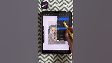 Opacity shortcut in Procreate