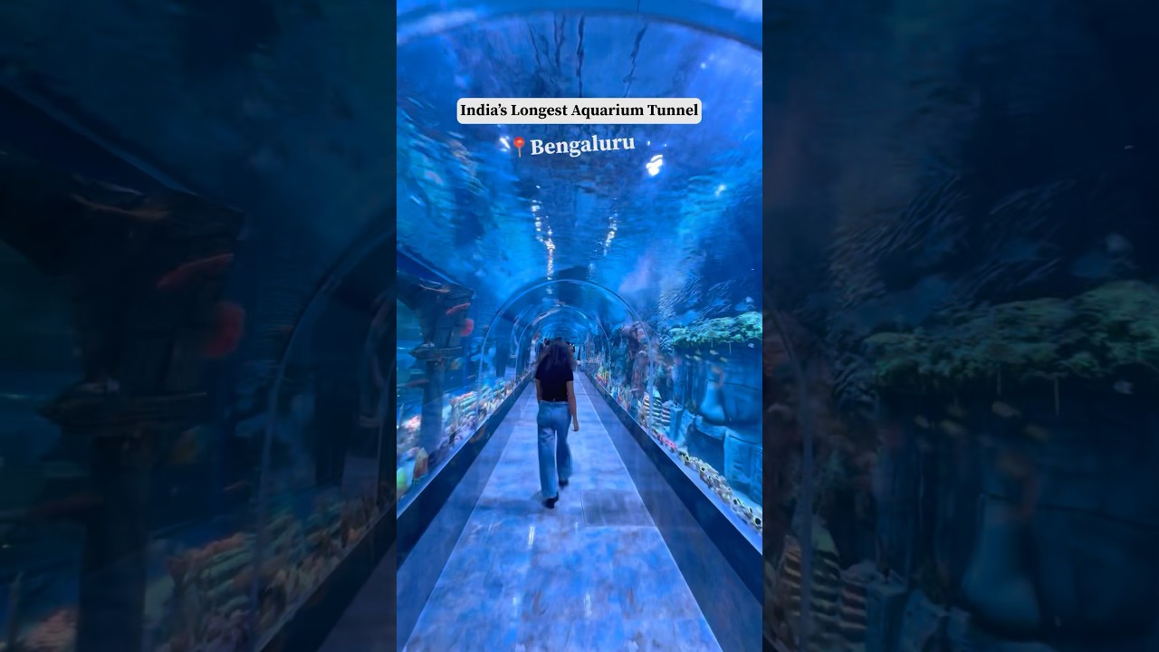 India’s Longest Aquarium in Bangalore | Places to visit in Bangalore | Weekend for kids|Water park