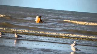 On The Beach - De Panne Belgium