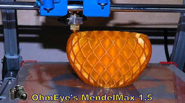 Timelapse Vase on Reprap MendelMax 3D Printer new