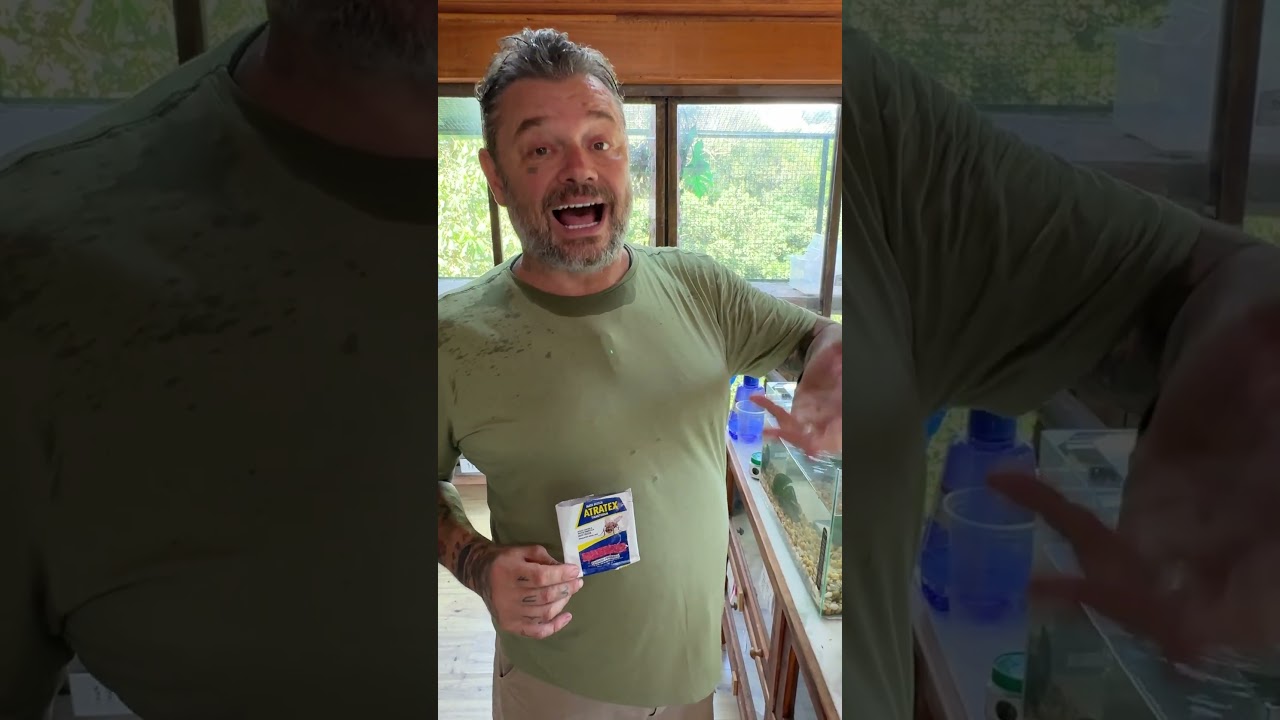 Atratex Mata Moscas: Solução eficaz contra moscas  em áreas urbanas e rurais!