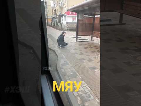 ПРИШЛА ВЕСНА СОЛЕВЫЕ 'КОТЫ' ВЫЛЕЗЛИ НА УЛИЦЫ. СОЛЕВОЙ НАРКОМАН НА ОСТАНОВКЕ #СОЛЬ