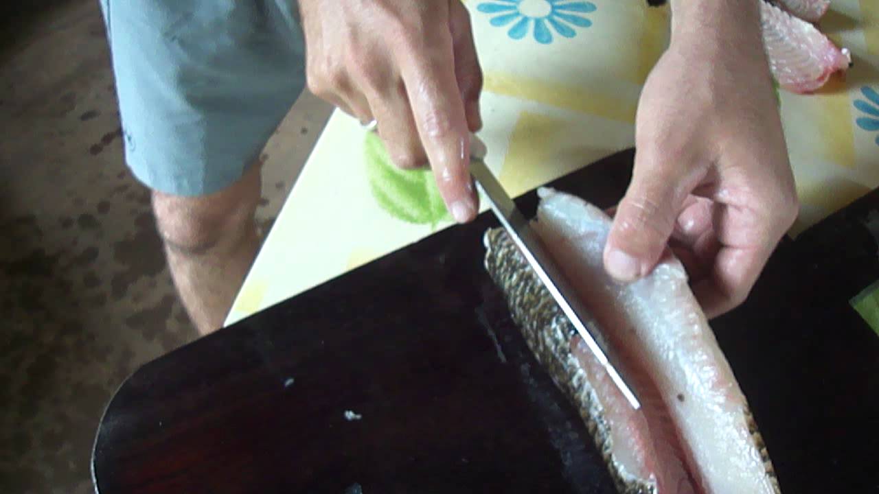 como tirar filé de traíra sem espinho.MP4
