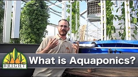 What is Aquaponics?