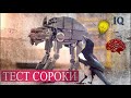 Игры с сорокой (Тест на IQ)