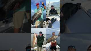 Buccaneer Fishing Charters in Venice Louisiana