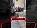 GT-Rで事故!?#事故#交通事故 #skyline #diy #drift #automobile #gtr #カスタム