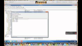 MicroStrategy Ragged Hierarchy Demo