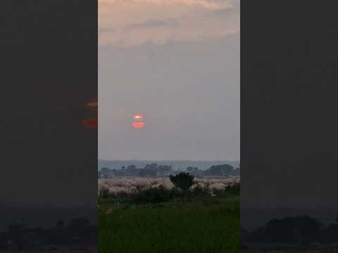 Beautiful sunset view of Nepal #terai #sunset #nepal #fypシ#travel #explorenepal #shorts