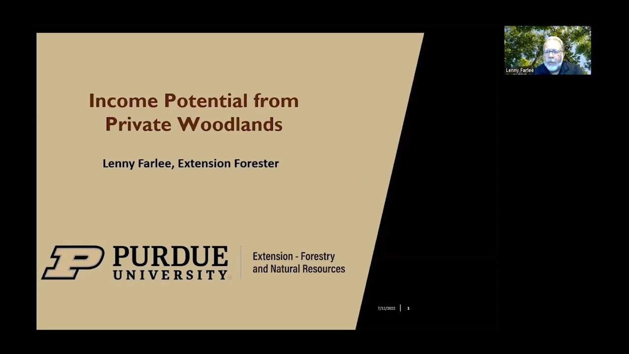 Income Potential from Private Woodlands