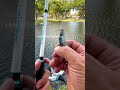 How To Sling Shot Cast Fishingvideos Urbanfloridafishing Southfloridafishing Cooledit Fishing