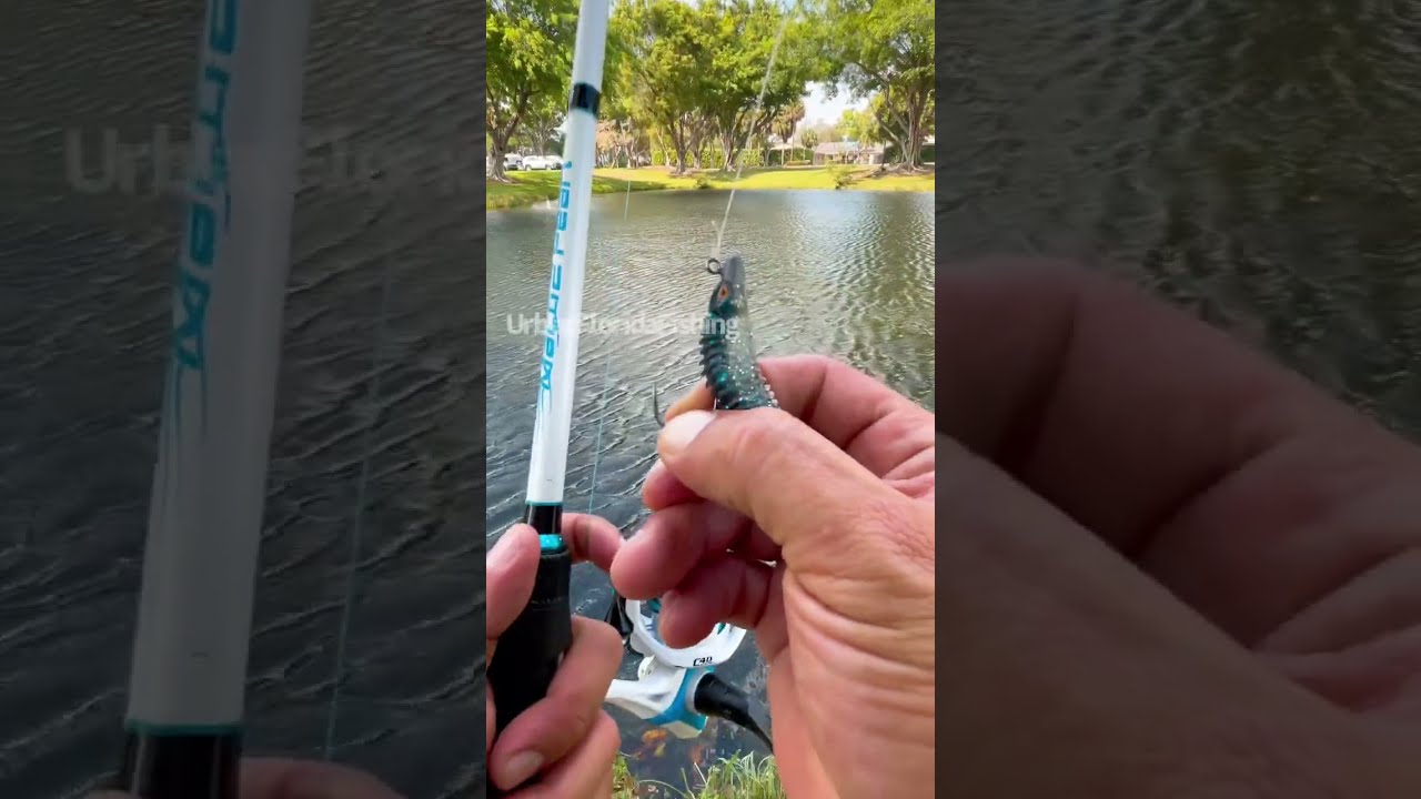 How To Sling Shot Cast Fishingvideos Urbanfloridafishing Southfloridafishing Cooledit Fishing
