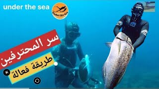 هذي التقنيات تجعلك ماهر في الصيد      