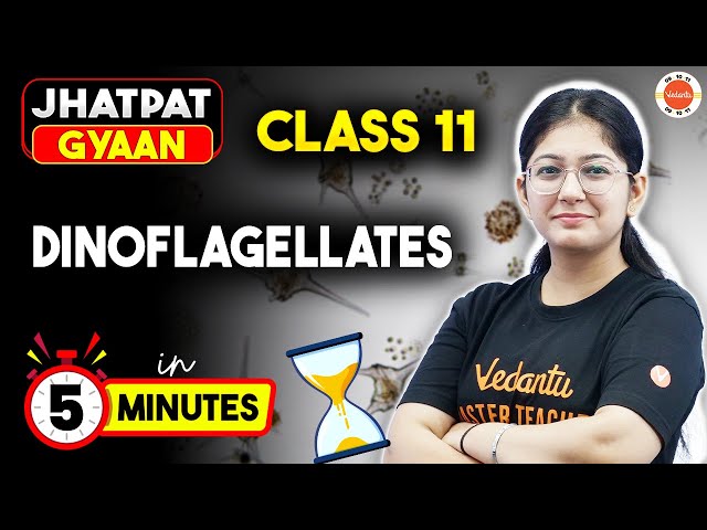 Dinoflagellates in 5 Min: Biological Classification | Class 11