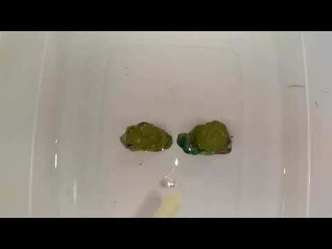 Wave Lab: diffusion and reflection