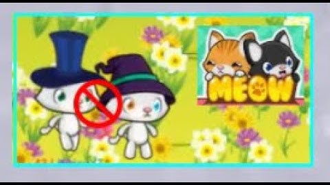 Meow Playground, but if I touch someone the video ends