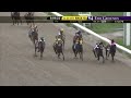 2013 Risen Star Stakes