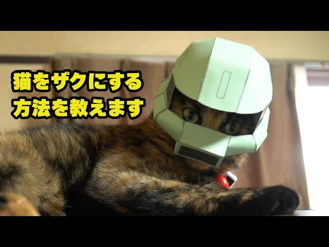 ザクのマスクを世界中の猫が被ればカワイイと思ったのでパターンを大