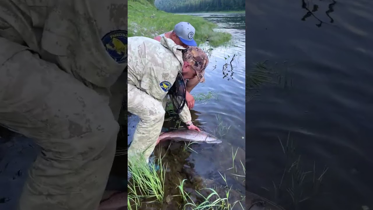 День 3. Таежная экспедиция по Енисею и его диким притокам в Красноярском крае. 