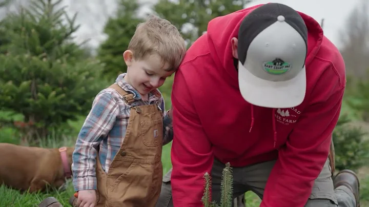 A Year on the Christmas Tree Farm | Behind the Scenes at Yetter Road Tree Farm