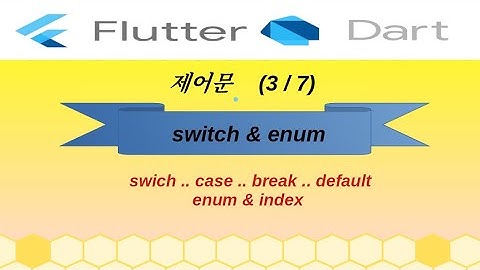 다트문법, switch, enum, flutter, 플러터