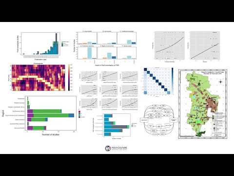 Photon - Automatic Data Visualization for COVID-19 Care - My Insight Data Science Project Demo
