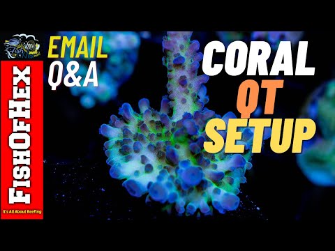 Can I Use Main Display Rock When Setting Up A Coral Quarantine Tank? |Subscriber Email Q & A