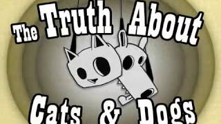Pony Up - &quot;The Truth About Cats and Dogs (Is That They Die)&quot; Dim Mak Records