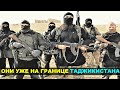 Талибы заявили о готовности входить в Таджикистан