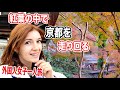 京都の紅葉に心が奪われた！日本を愛する外国人の旅！