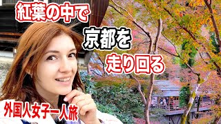 京都の紅葉に心が奪われた！日本を愛する外国人の旅！