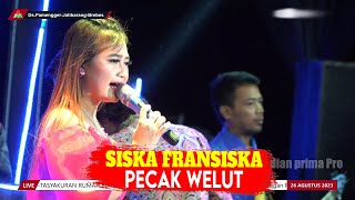 Download lagu PECAK WELUT - SISKA FRANSISKA || LIVE DS. PAMENGGER JATIBARANG BREBES || DIAN PRIMA 2023