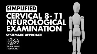 How To Examine C8 T1 Nerve Roots? Neurological Extion Simplified