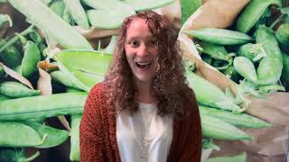 Pick, Pull, Snap: Where Once a Flower Bloomed - Guided Reading