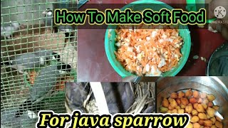 How to make soft food for Java Sparrow| Best soft food java chicks#shoft_food Wealth