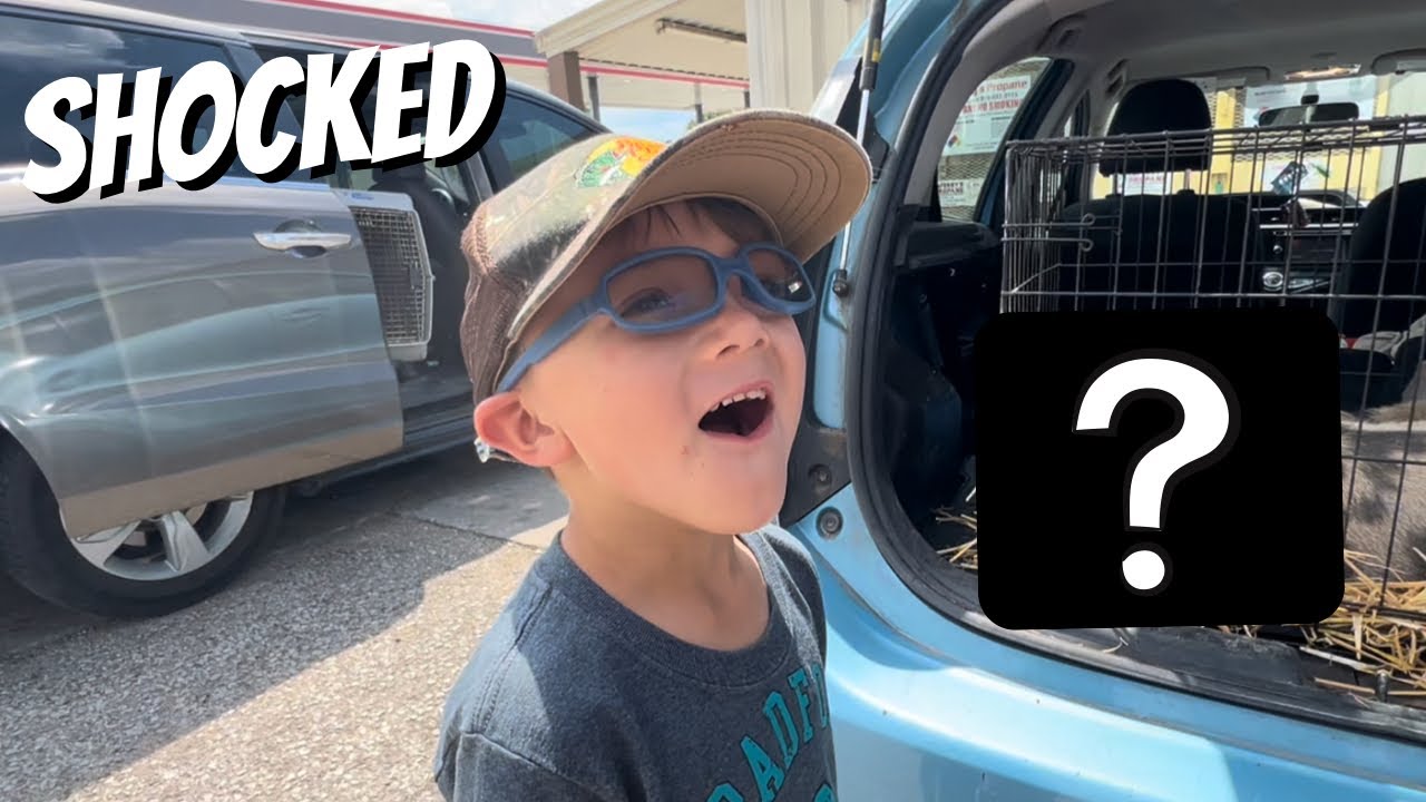 Found Them At A Gas Station YouTube