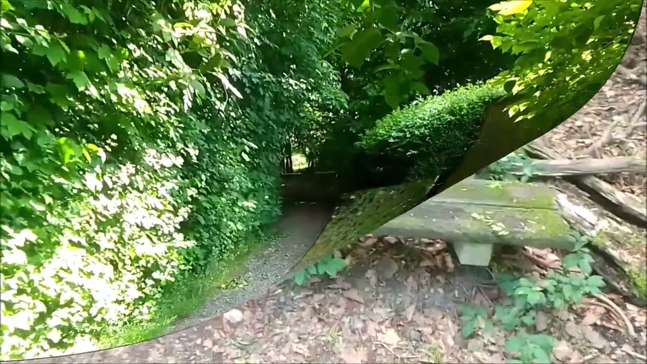 31.05.2025 (09:58 - 17:47) Wir-machen-den-Weg-weit-Tour (Hagener Stadtwald)