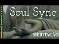 Meditao soul sync  a sincronicidade da alma para atrair abundncia e prosperidade